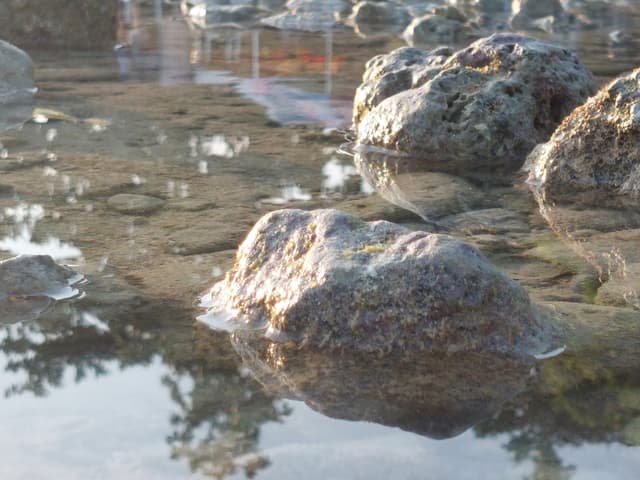 Marble Outshine - Grim Stone of the Sea