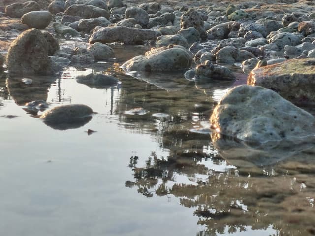 Reflection Seaview - Stones and Waterbed