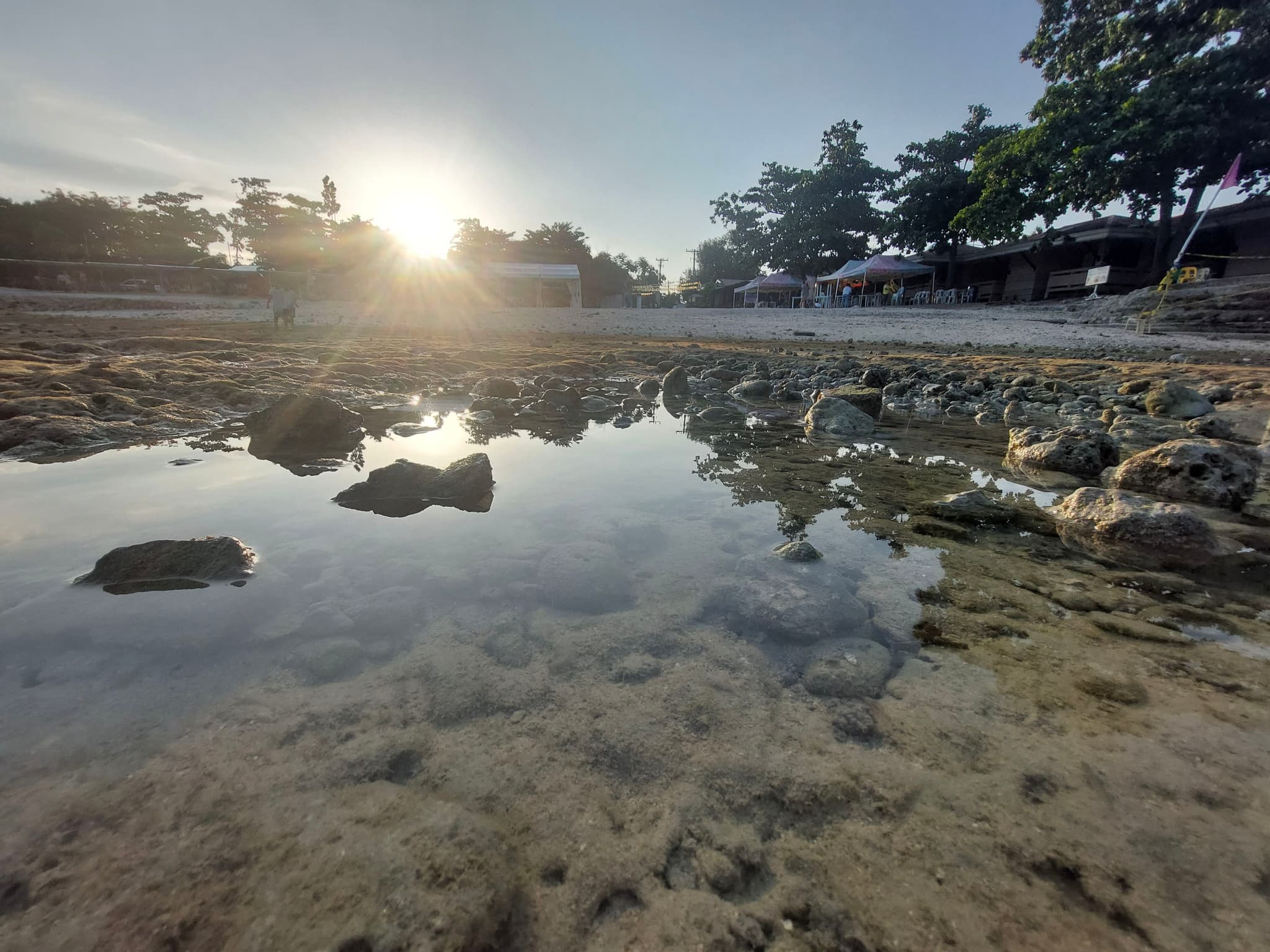Ants View - Choir along the Sea